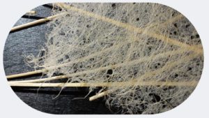 slrd Lekton paper 02