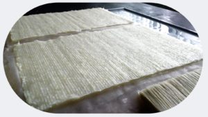 slrd Lekton paper 05