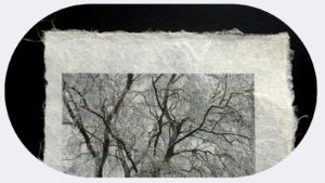 slrd Lekton paper 09