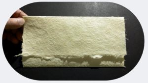 slrd Lekton paper 10