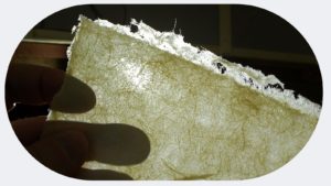 slrd Lekton paper 11