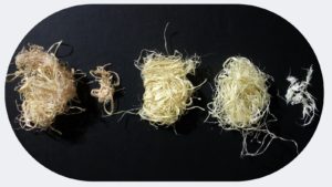 slrd Lekton paper 12