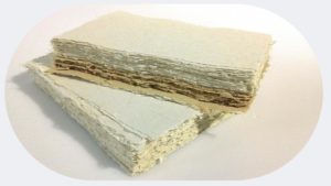 slrd Lekton paper 14