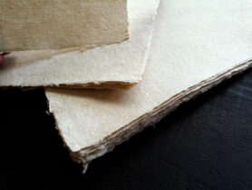 20211031 141539 05 3 1200px