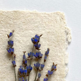 Fajl 000 2 crop2 1200