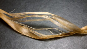 Волокна лыка после варки