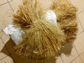 IMG 20201019 191941 1 1200px