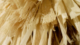 IMG 20201019 192219 1200px