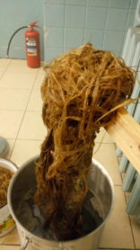 Липовое лыко после первой варки