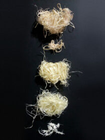 IMG 20201125 021816 705 1200px