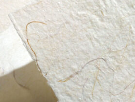 IMG 20201125 053425 1200px