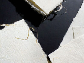 IMG 20201125 053656 1 1200px