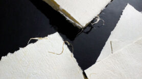 IMG 20201125 053656 1200px