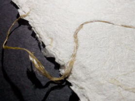 IMG 20201210 172209 1200px