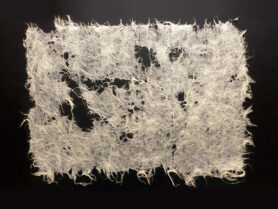 IMG 20201218 145721 2 1200px