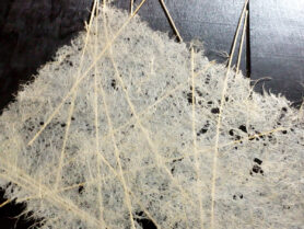 IMG 20210309 183017 2 1200px