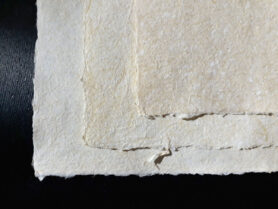 20220202 005004 1200px