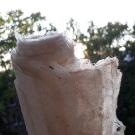 20220817 161511 1200px