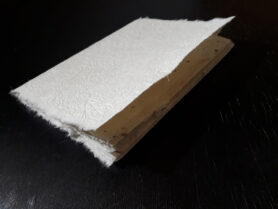 20220824 160759 1200px