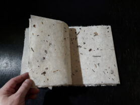 20220824 160820 1200px