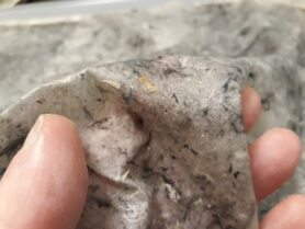 20221130 032803 1200px