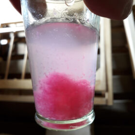 20221207 085510 sqr1200px