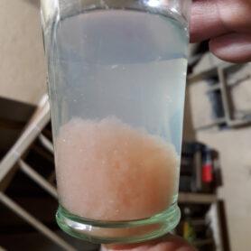 20221207 093046 sqr 1200px