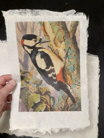 20230201 222137 1200px