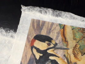 20230201 222242 1200px