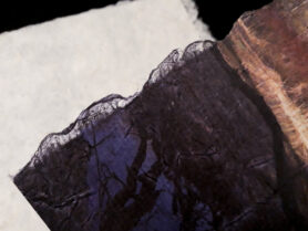 20230201 222647 1200px