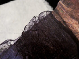 20230201 222653 1200px