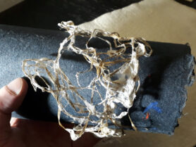 20230411 220510 1200px