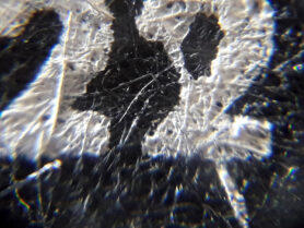 20230424 141526 1200px