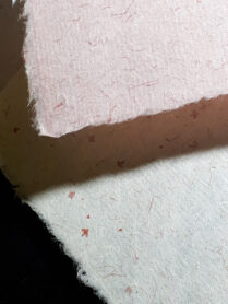 20230526 203905 1200px