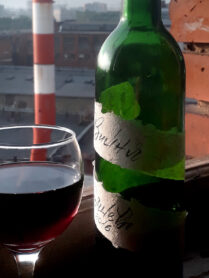 20230707 192839 1200px