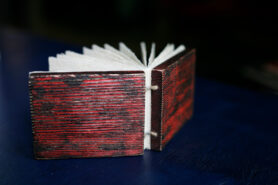 2021 06 12 MG 9523 1200px