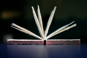 2021 06 12 MG 9528 1200px