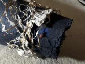 20230411 220605 1200px