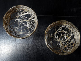 20230923 005630 1200px