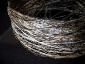 20230923 005841 1200px