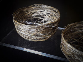 20230923 005900 1200px