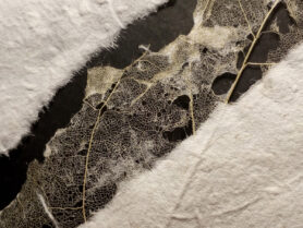 IMG 20200812 000912 2 1200px