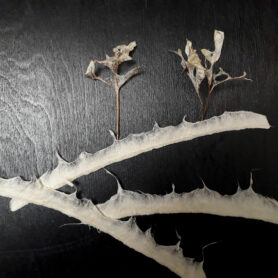 20220320 040034 2 sqr