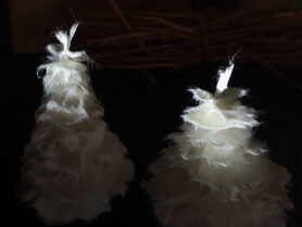 20231104 110053 1200px