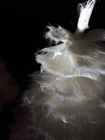 20231104 110125 1200px