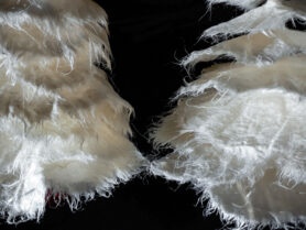 20231104 110446 1200px