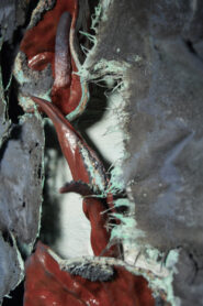 1707319288595 1200px