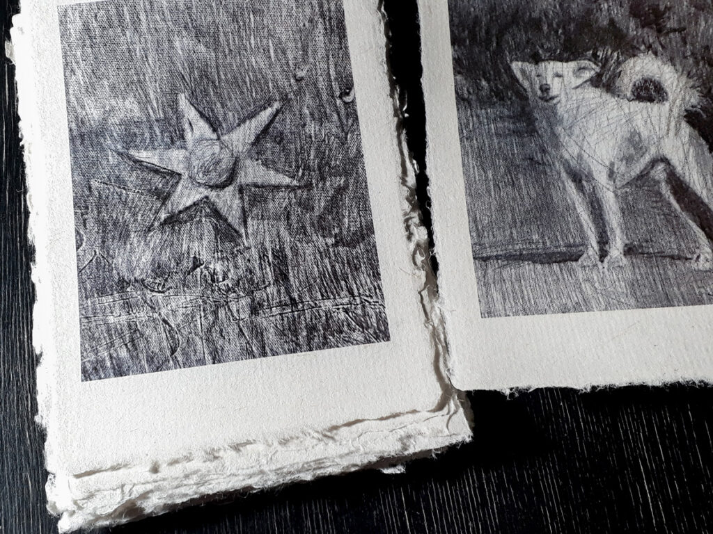 20250204 213102 1200px