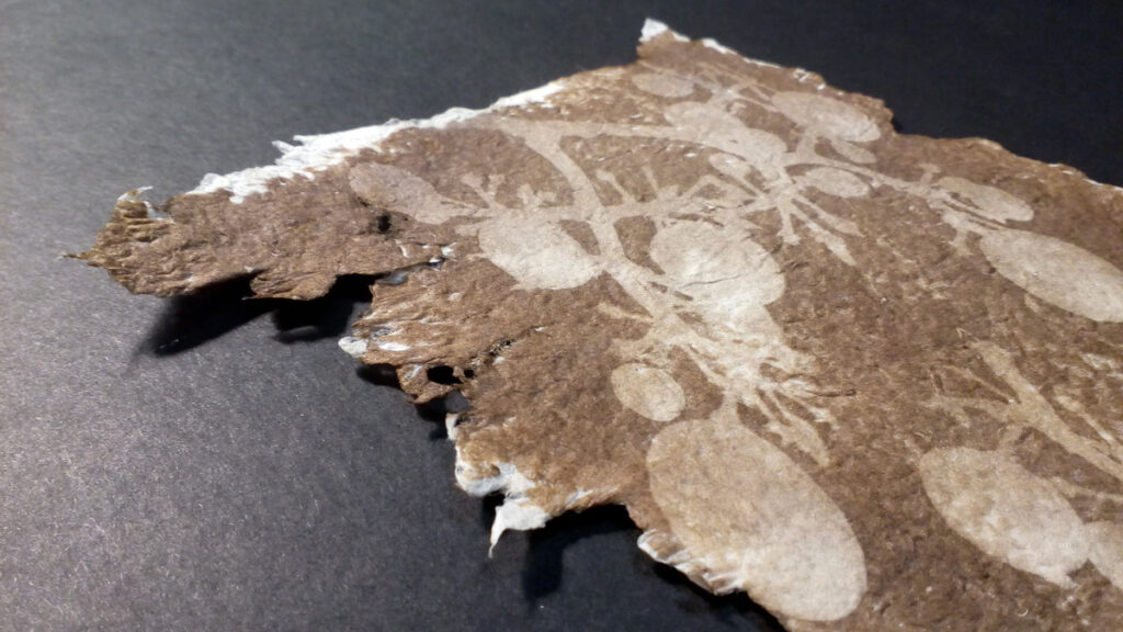 IMG 20200818 190810 1200px