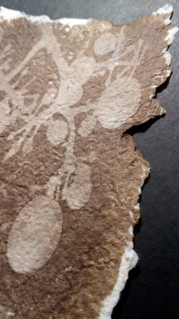 IMG 20200818 190857 1200px